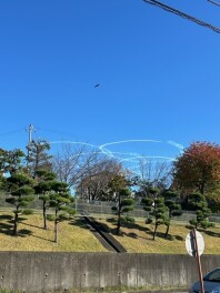 ブルーインパルスが見えました！